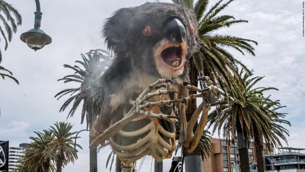 skeletal-koalas-and-passionate-pleas:-activists-across-the-world-join-a-‘global-day-of-action’