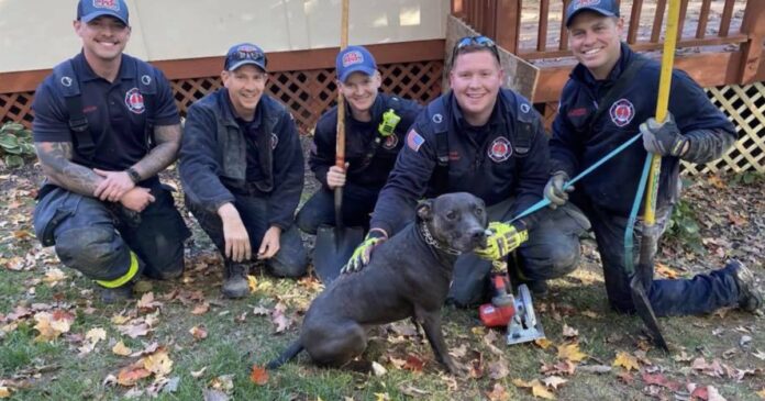 firefighters-rescue-dog-trapped-under-patio