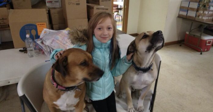 food-pantry-holds-free-distribution-for-pets