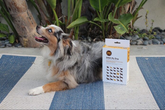 save-some-hard-earned-cash-with-10-black-friday-specials-for-pets