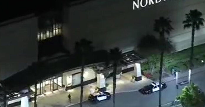 string-of-brazen-thefts-in-california-continues-at-los-angeles-nordstrom