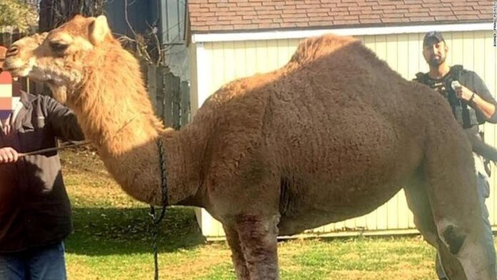 exhibit-helps-tell-story-of-wisconsin-agriculture