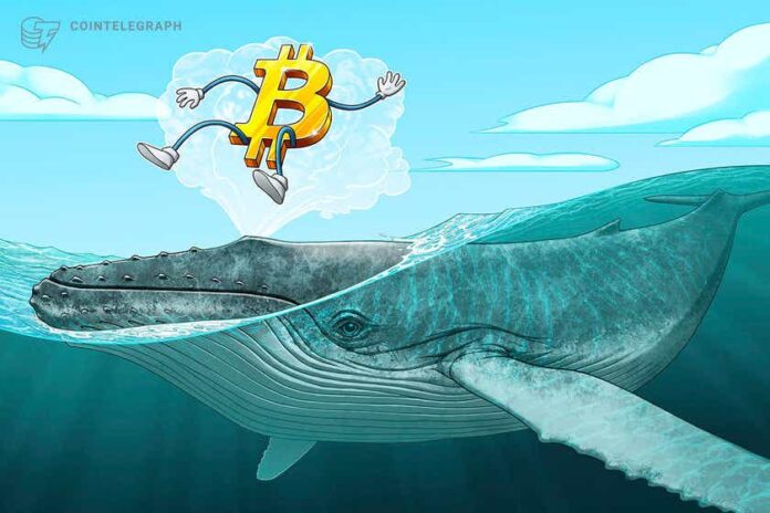third-biggest-bitcoin-whale’s-holdings-total-$6b-after-‘whopping’-2.7k-btc-buy-in