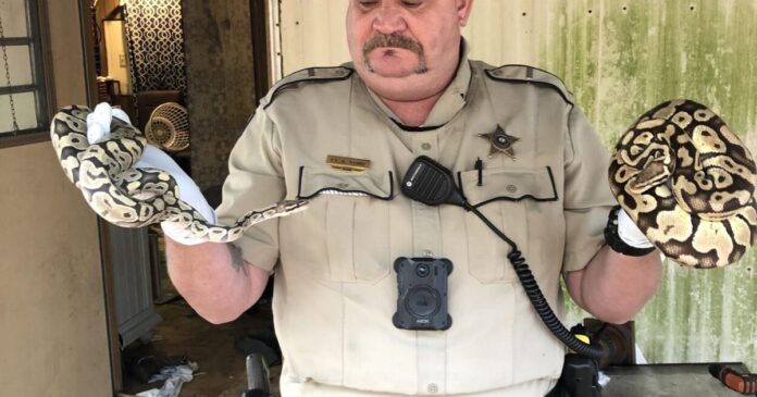 abandoned-dogs,-snakes-seized-from-house