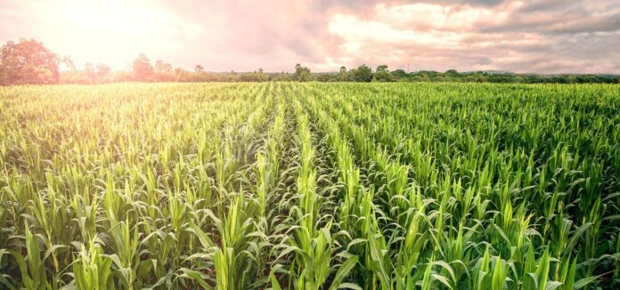 how-this-agtech-company-is-helping-make-commercial-agriculture-more-sustainable