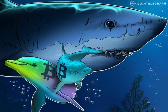 fish-food?-data-shows-retail-investors-are-buying-bitcoin,-whales-are-selling