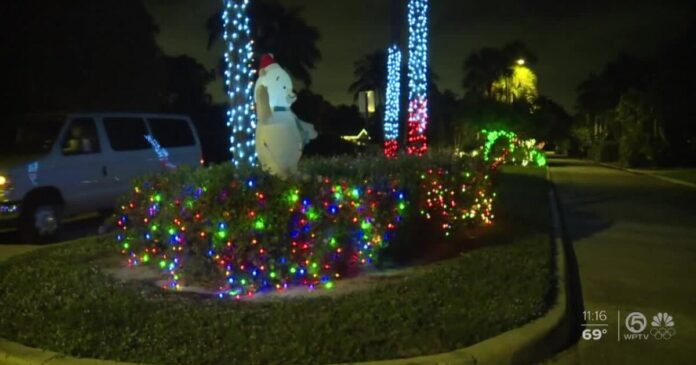 street’s-median-decorated-with-christmas-lights