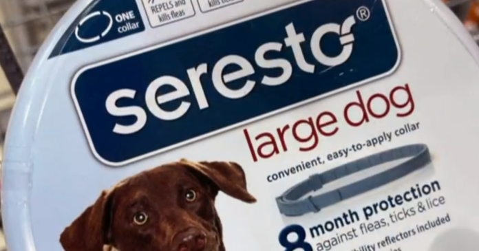 lawmakers-urge-seresto-flea-collar-recall-after-pet-deaths,