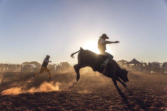 what-rodeo-and-western-sports-can-teach-us-about-brand-authenticity
