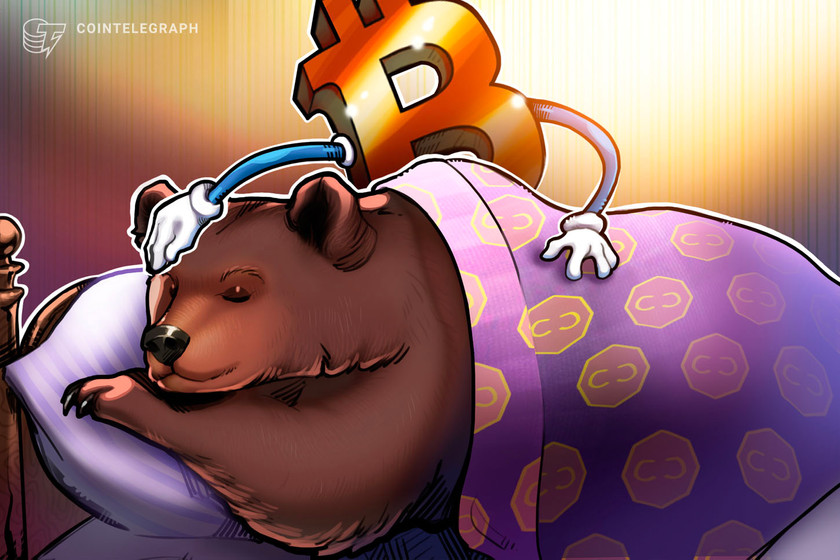 ‘builders-rejoice’:-experts-on-why-bear-markets-are-good-for-bitcoin