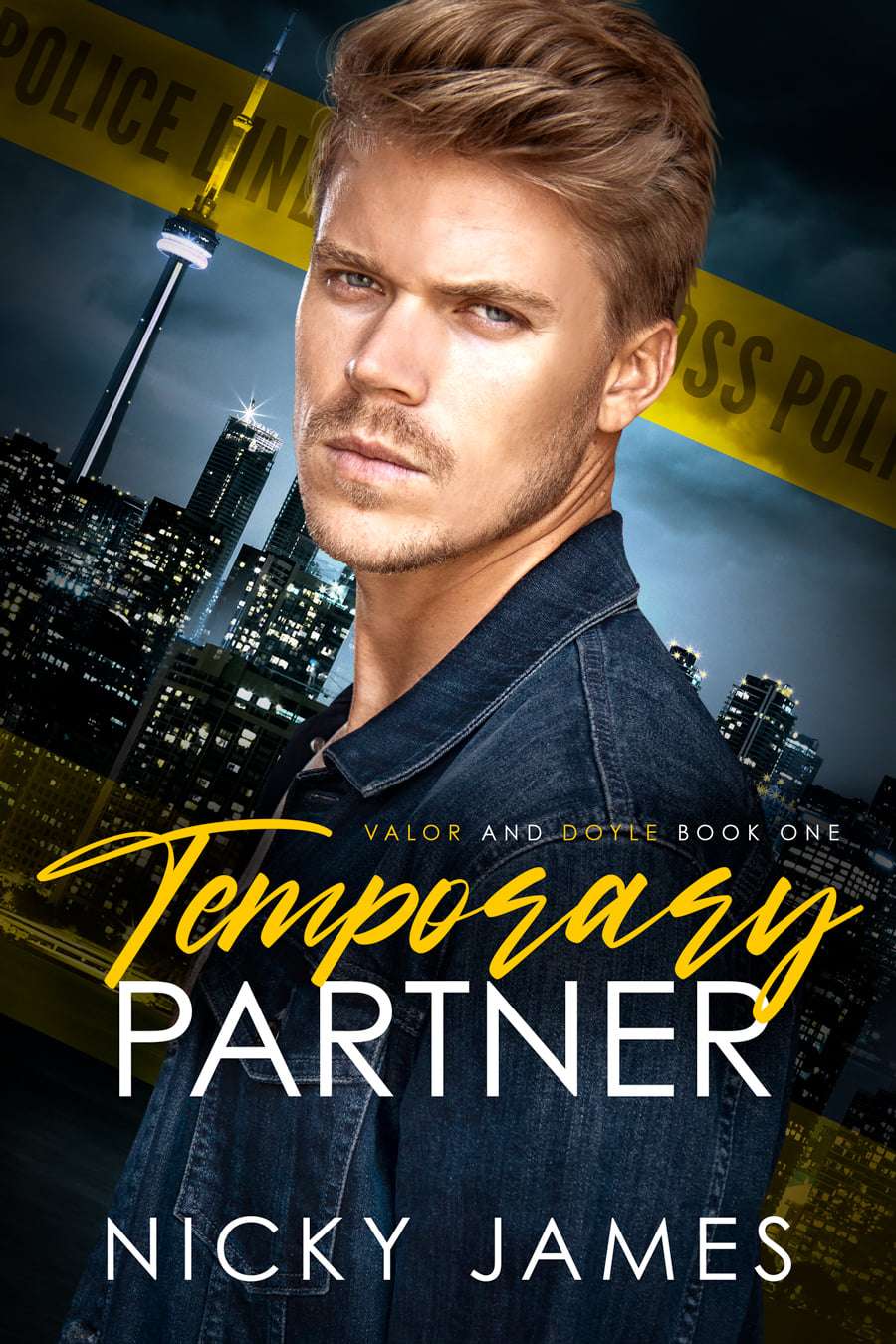 review:-temporary-partner-(valor-and-doyle-mysteries-#1)-by-nicky-james