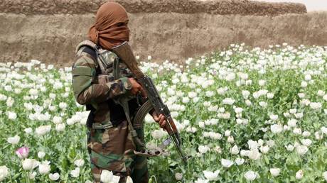 taliban-winning-war-against-opium-trade