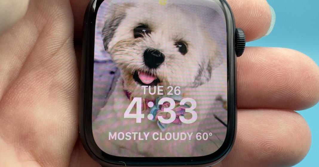 apple-watch-ban-is-put-on-hold-by-appeals-court