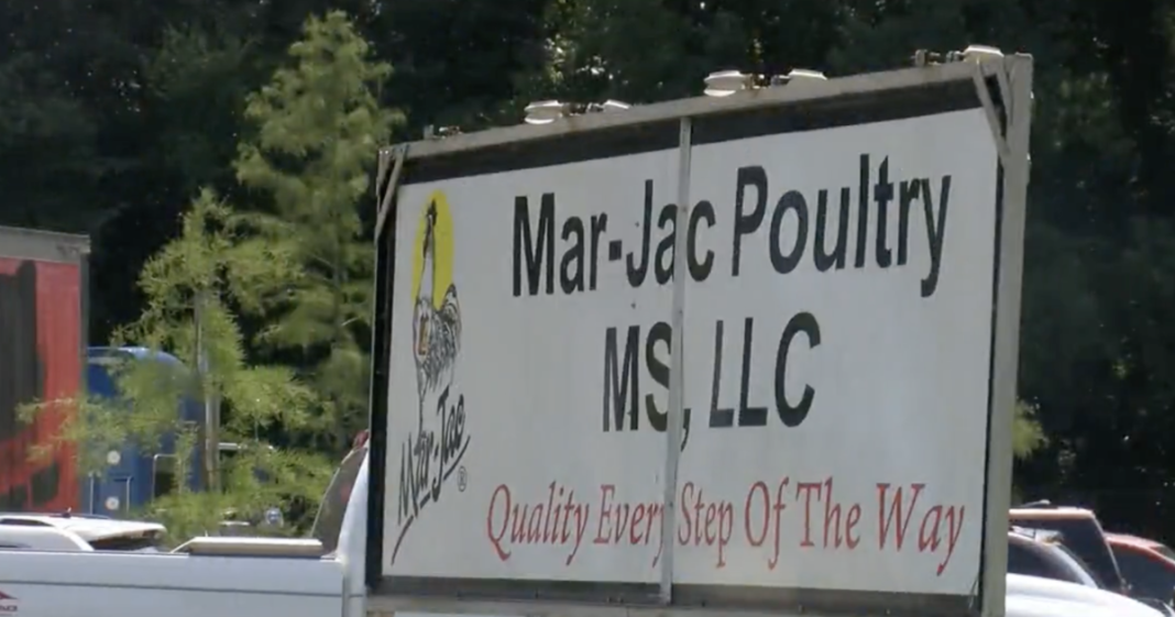 poultry-plant’s-“inaction”-led-to-teenager’s-death,-feds-say