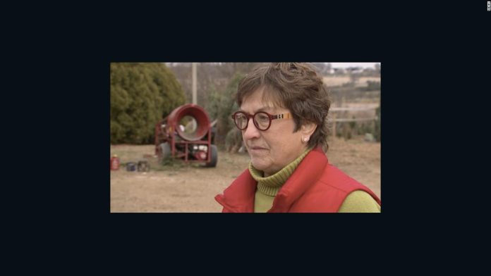 she-made-a-promise-to-her-husband-to-keep-their-tree-farm-going