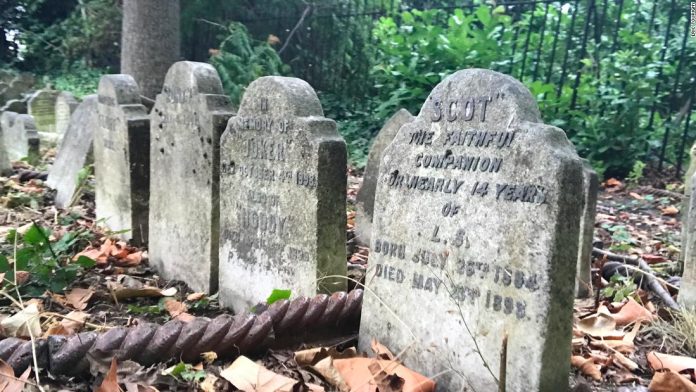 what-pet-cemeteries-reveal-about-being-human